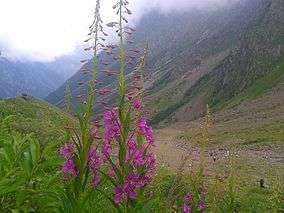 North Ossetia Zapovednik