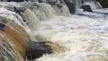 A sea trout can be seen leaping approximately two feet up a small waterfall created by a weir.