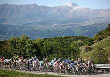 A group of cyclists riding through the country.