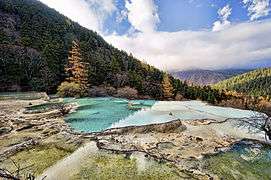 Turquoise colored limestone ponds.