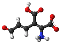 Ball-and-stick model of the 2-amino-3-carboxymuconic semialdehyde molecule as a zwitterion