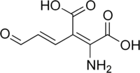 Skeletal formula of 2-amino-3-carboxymuconic semialdehyde