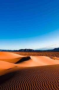 View to the Pinacate peaks from the sand dunes