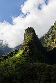 Photo of vegetation-covered lava promontory