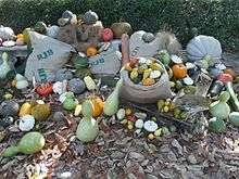 a variety of fruits displayed in a garden, some in a sack, some in a basket