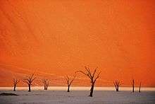 Deadvlei