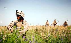 A Marine spaces out in a poppy field as three other Marines come over to wake his lazy butt up.