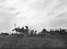 Black and white photo of World War II-era single-engined monoplane aircraft in a field. The fuselage and wings of the aircraft are marked with vertical black and white stripes.