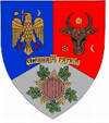 Coat of arms of Vrancea County