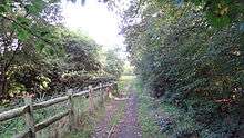 Path in Ainslie Wood