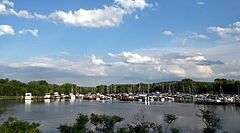 Marina at Allan H. Treman State Marine Park