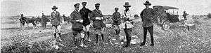 Group of officers having a cup of tea with horses and cars in the background