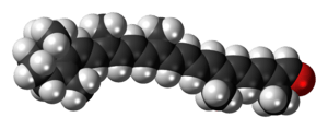 Space-filling model of the apocarotenal molecule