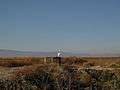 Photograph of a great egret standing on a canal gate valve amidst the marshes of the Lower Klamath National Wildlife Refuge.