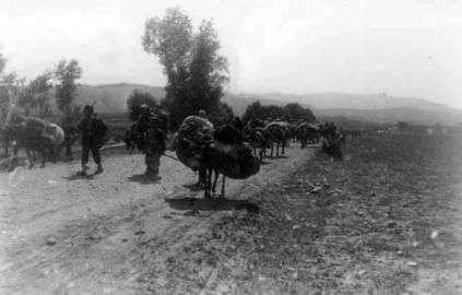 Armenian deportations in Erzurum by Victor Pietschmann 06.jpg