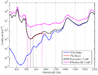 Figure_3_The_absorption_spectrum_for_arteries