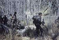 A colour picture of a four-man Australian SAS patrol wearing their distinctive "Tiger Stripe" uniforms