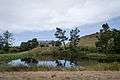 Bandon Dunes Resort-1.jpg