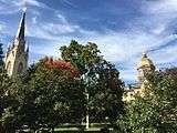 Basilica and Dome