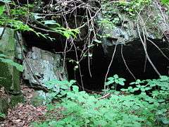 Beaver Valley Rock Shelter Site