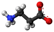 Ball-and-stick model of the β-alanine molecule as a zwitterion