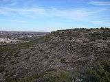 A photo of the escarpment in Big Spring State Park with the city in the background