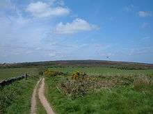 Tyre tracks run through flat grassland toward a large mound on the distant horizon.