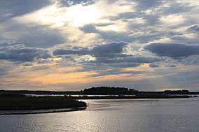 Blackwater NWR marshes