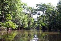 Bottle Creek Indian Mounds