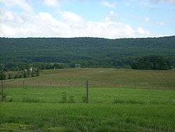 A meadow under a partly coudy sky with a tree-covered ridge in the background