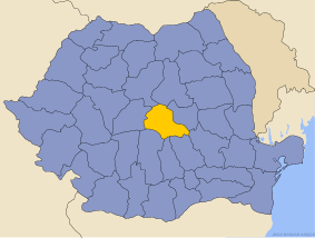 visual representation of a country's map