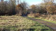 Bricket Wood Common