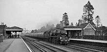 Steam train passing through an almost deserted station, with very tall trees in the background