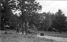 Four men at side of wooded area looking up to the sky