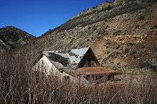 A partially submerged house covered in overgrown vegetation and with a deteriorating roof