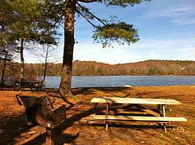 Picnic table with pond