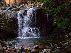 Photo of Cascade Falls Trail in State Park