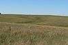 Willa Cather Memorial Prairie