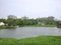 Chetput Pond.jpg