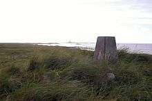  A small concrete pillar sits amongst long grass. There is a body of water in the background.