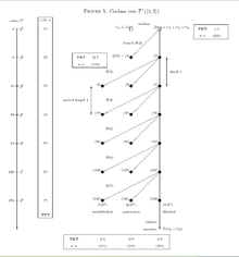 Coclass1Tree2Groups