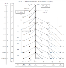 Coclass1Tree5Groups