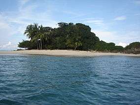 Sand beach with palm trees and drift wood.