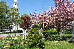 Harwich Historic District