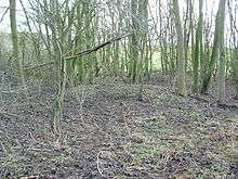 A shallow barrow at Danes Graves