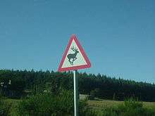 Deer warning sign