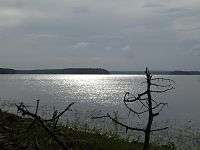 Shining blue lake with trees in foreground