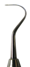 Curved tip of a small metal probe, tapering to a point.