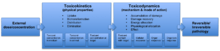 A box model explaining the processes of toxokinetics and toxicodynamics.