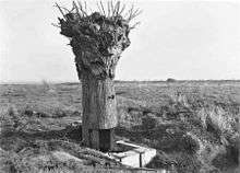 A large stubby object resembling a tree trunk stands in a grassy field, devoid of leaves and branches. At the base is a door-like opening and some wooden form-work.